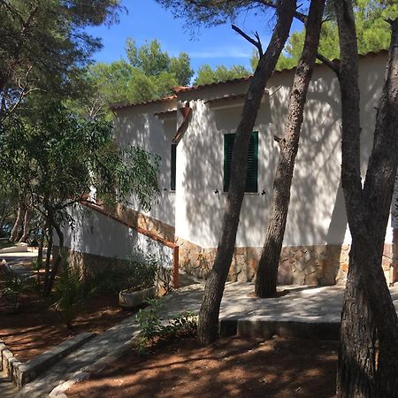 Residence M3 Peschici Εξωτερικό φωτογραφία