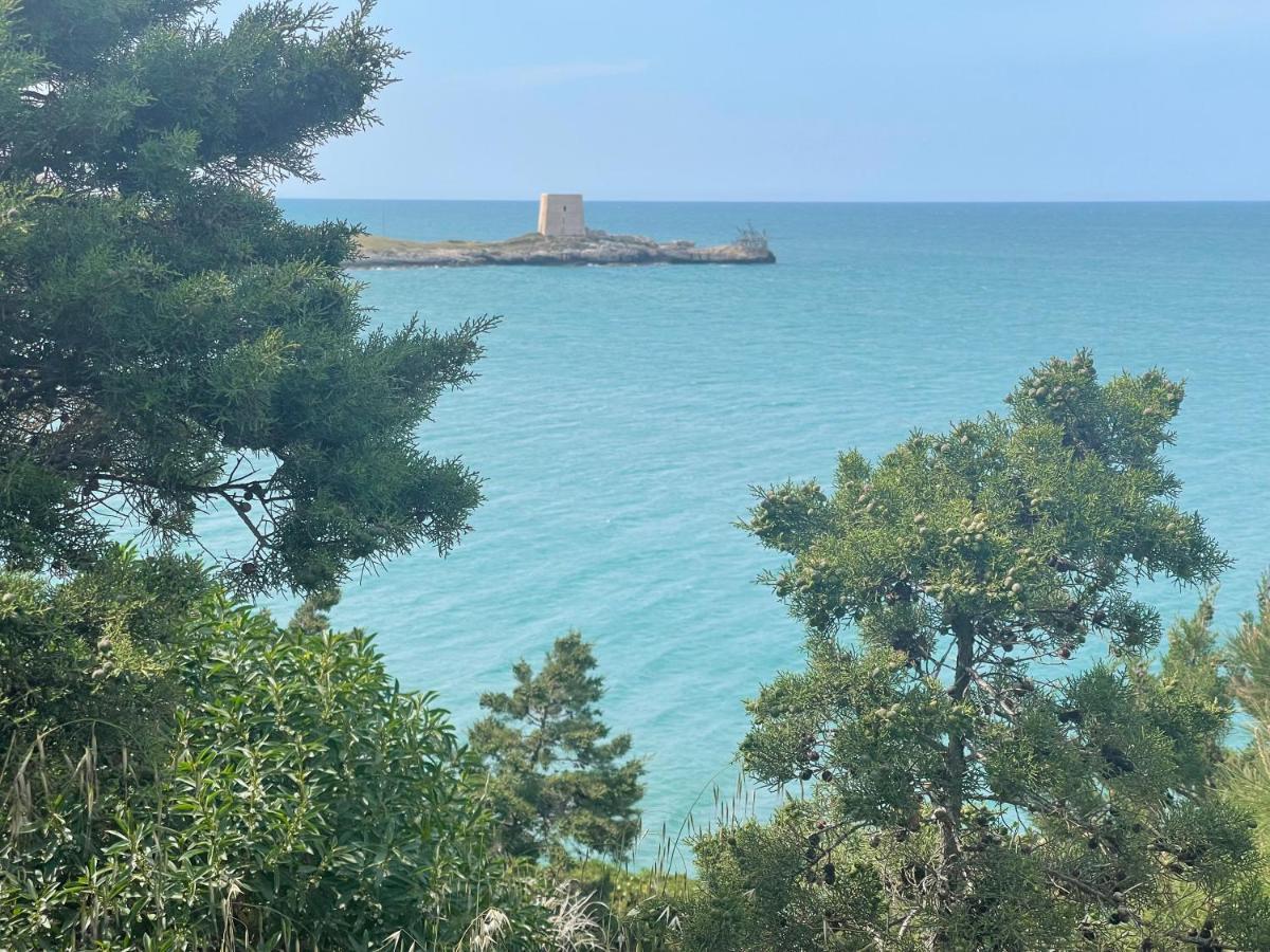 Residence M3 Peschici Εξωτερικό φωτογραφία