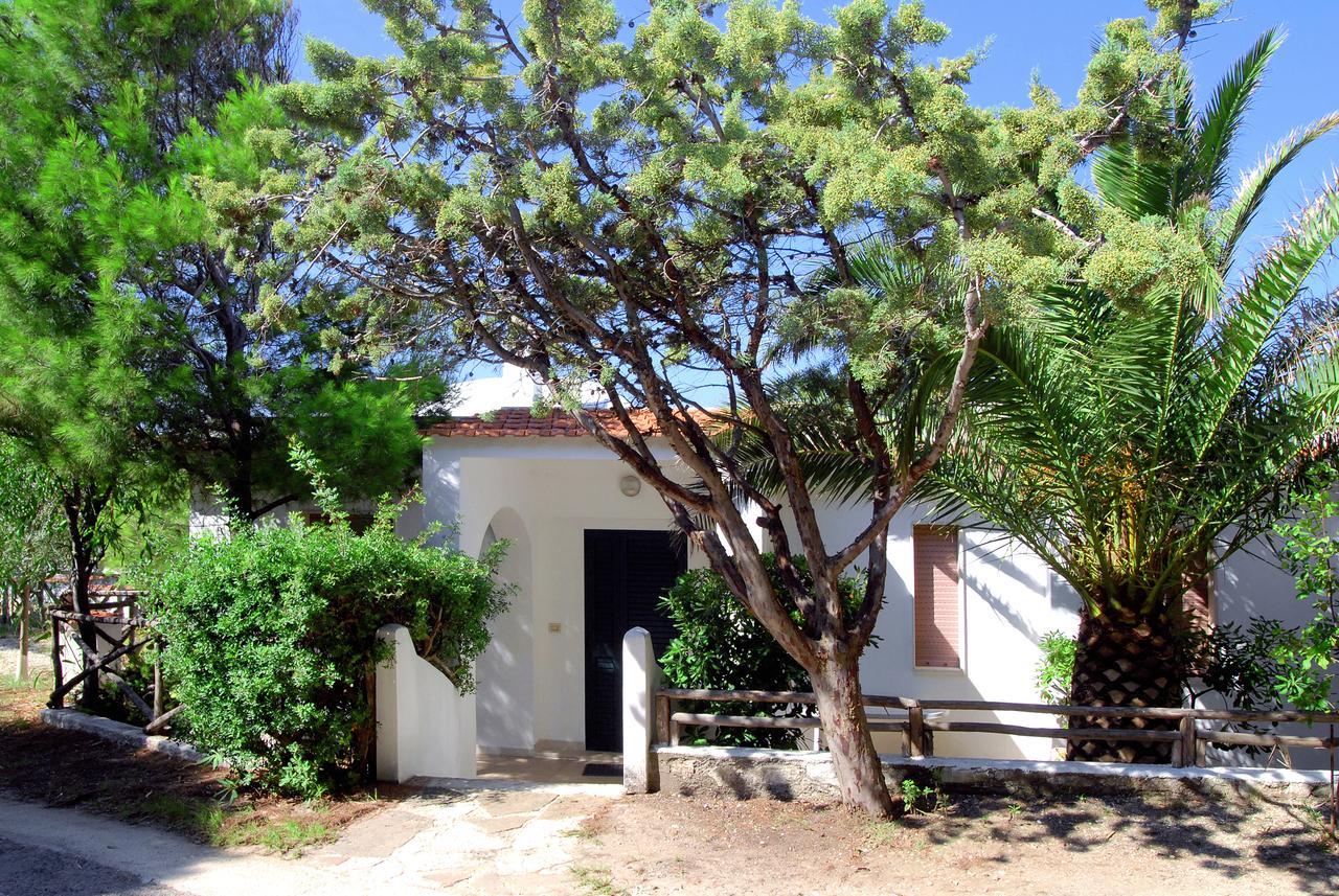 Residence M3 Peschici Εξωτερικό φωτογραφία
